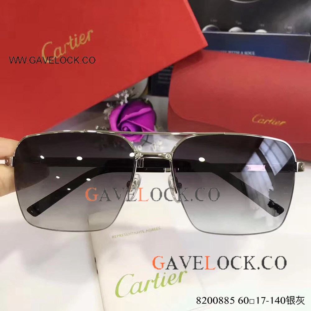 Cartier Sunglasses Replica / Double-bar / Silver and Gray